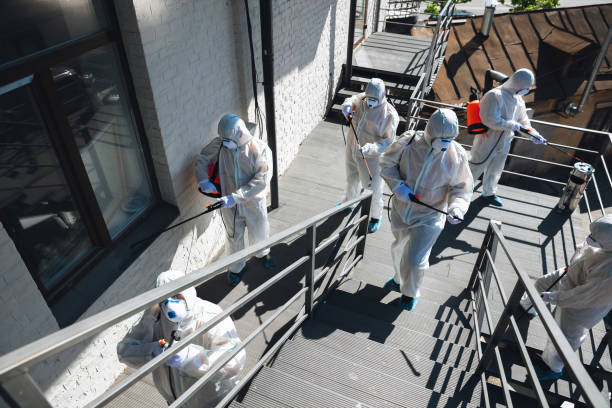 Reliable Isle Of Hope, GA Mold Removal Solutions