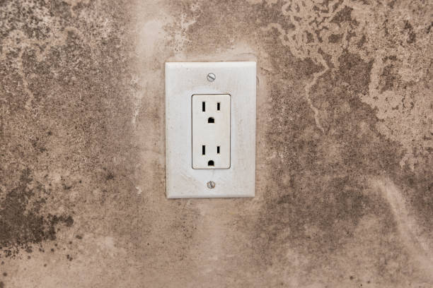Best Emergency Mold Remediation  in Isle Of Hope, GA